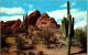 48156 - USA - Arizona , Desert Beauty - Nicht Gelaufen  - Andere & Zonder Classificatie