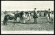 A65  ALGERIE CPA  SCENES ET TYPES - CAVALIERS  ARABES - Collections & Lots