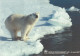 Norway Postal Stationery 2007 World Environment Day - Polar Bear ** - Ganzsachen