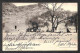 Oltremare - Sud Africa - 1905/1906 - Due Cartoline Da Okahandja E Swakopmund Per La Germania - Sonstige & Ohne Zuordnung