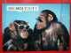 KOV 507-1 - MONKEY, Comic, Humour - Singes