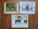 Lot De 3 Calendriers Des PTT Almanach Du Facteur      Chevaux - Groot Formaat: 2001-...