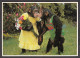 116602/ Chimpanzés - Singes