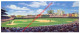 Sunlit Wrigley Field By William Feldman - Baseball - 23x9,5cm - Baseball