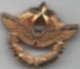 Insigne Aviation  22 Mm Doré Or Fin - Luftwaffe