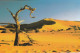 PHONE CARD NAMIBIA (E51.19.1 - Namibia