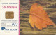 PHONE CARD ROMANIA (E55.6.1 - Rumania