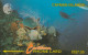 PHONE CARD CAYMAN (E58.8.3 - Cayman Islands