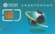 SIM CARD CINA (E64.21.3 - China