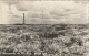 4905 145 Ameland Hollum, Duingezicht Met Vuurtoren. (Fotokaart.) (Kleine Vouwen In De Hoeken, Zie Achterkant.)  - Ameland