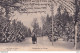 L20- LA FORET EN HIVER - WALDSTUDIE  IM WINTER - OBLITERATION DE THUN , SUISSE , EN 1905 - ( 2 SCANS ) - Wald