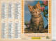 Calendrier-Almanach Des P.T.T 1993 -Chaton Tigré-Chatons Roux- Département AIN-01-Référence 405 - Big : 1991-00