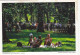 AK 190366 USA - New York City - Picknick Im Central Park - Central Park