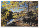 AK 190368 USA - New York City - The Lake Im Central Park - Central Park