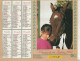Calendrier-Almanach Des P.T.T 1994 Fillette Et Lapin-Fillette Et Cheval Département AIN-01-Référence 404 - Grand Format : 1991-00