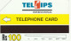 PHONE CARD PAKISTAN  (E95.23.6 - Pakistán