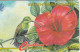 PHONE CARD BRITISH VIRGIN ISLAND  (E98.10.1 - Virgin Islands