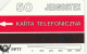 PHONE CARD POLONIA  (E100.8.5 - Poland