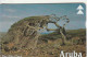 PHONE CARD ARUBA  (E102.28.5 - Aruba