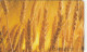 PHONE CARD LETTONIA (E104.59.1 - Lettonia