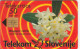PHONE CARD SLOVENIA (E104.49.1 - Slovenia