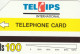 PHONE CARD PAKISTAN URMET  (E105.41.7 - Pakistan