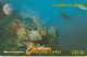 PHONE CARD CAYMAN ISLANDS  (E105.29.7 - Iles Cayman