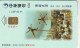 PHONE CARD TAIWAN CHIP  (E108.49.1 - Taiwan (Formosa)