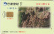 PHONE CARD TAIWAN CHIP  (E108.45.8 - Taiwan (Formose)