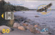 PHONE CARD ESTONIA  (E108.37.8 - Estonie