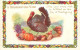 A Thanksgiving Wish , Catte Gaufrée , Embossed Card  , * 450 04 - Giorno Del Ringraziamento