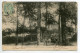 95 ST SAINT BRICE Sous FORET Famille Promeneurs Sous Les Arbres La Solitude  1906 Timb   D04 2023 - Saint-Brice-sous-Forêt