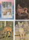 Delcampe - VENDO AL MAGGIORE OFFERENTE 92  CARTOLINE CON VARI ANIMALI.POSSIBILE VENDITA PARZIALE. - Verzamelingen & Kavels