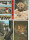 Delcampe - VENDO AL MAGGIORE OFFERENTE 92  CARTOLINE CON VARI ANIMALI.POSSIBILE VENDITA PARZIALE. - Verzamelingen & Kavels