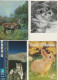 Delcampe - VENDO AL MAGGIORE OFFERENTE 92  CARTOLINE CON VARI ANIMALI.POSSIBILE VENDITA PARZIALE. - Verzamelingen & Kavels