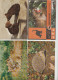 Delcampe - VENDO AL MAGGIORE OFFERENTE 92  CARTOLINE CON VARI ANIMALI.POSSIBILE VENDITA PARZIALE. - Sammlungen & Sammellose