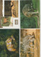 Delcampe - VENDO AL MAGGIORE OFFERENTE 75  CARTOLINE CON VARI ANIMALI.POSSIBILE VENDITA PARZIALE. - Collections & Lots