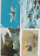 Delcampe - VENDO AL MIGLIORE OFFERENTE 52 CARTOLINE CON ANIMALI PENNUTI.POSSIBILE VENDITA SINGOLE CARTOLINE. - Collections & Lots