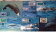 WWF CARTE MAXIMUM   1ER JOUR  (LOT De 26) - Cartoline Maximum