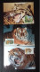 WWF CARTE MAXIMUM   1ER JOUR  (LOT) - Maximumkaarten