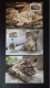 WWF CARTE MAXIMUM   1ER JOUR  (LOT) - Cartes-maximum