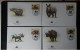 WWF -   FDC  1er Jour (LOT) - FDC