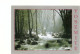 USA Yosemite National Park Spring Melt Bridalveil Creek Postcard John Senser - Yosemite