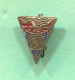 Swimming Natation - Club Barcelona Spain, Vintage Pin Badge Abzeichen - Zwemmen