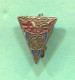 Swimming Natation - Club Barcelona Spain, Vintage Pin Badge Abzeichen - Swimming