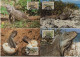 TURKS & CAICOS 1986 WWF W.W.F. REPTILES LEGUAN IGUANA  MC Maximum Cards Set X4 Fauna - Cartoline Maximum