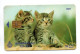 CHAT CAT Télécarte Puce Thaïlande  Phonecard  (R 769) - Thaïlande