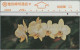 PHONE CARD TAIWAN (E52.10.8 - Taiwán (Formosa)