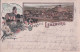 Gruss Aus Lenzburg AG, Litho 2 Vues Et Bouquet De Fleurs (5.6.1899) - Lenzburg