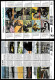 Delcampe - 2013 Jaarcollectie PostNL Postfris/MNH**, Official Yearpack - Komplette Jahrgänge